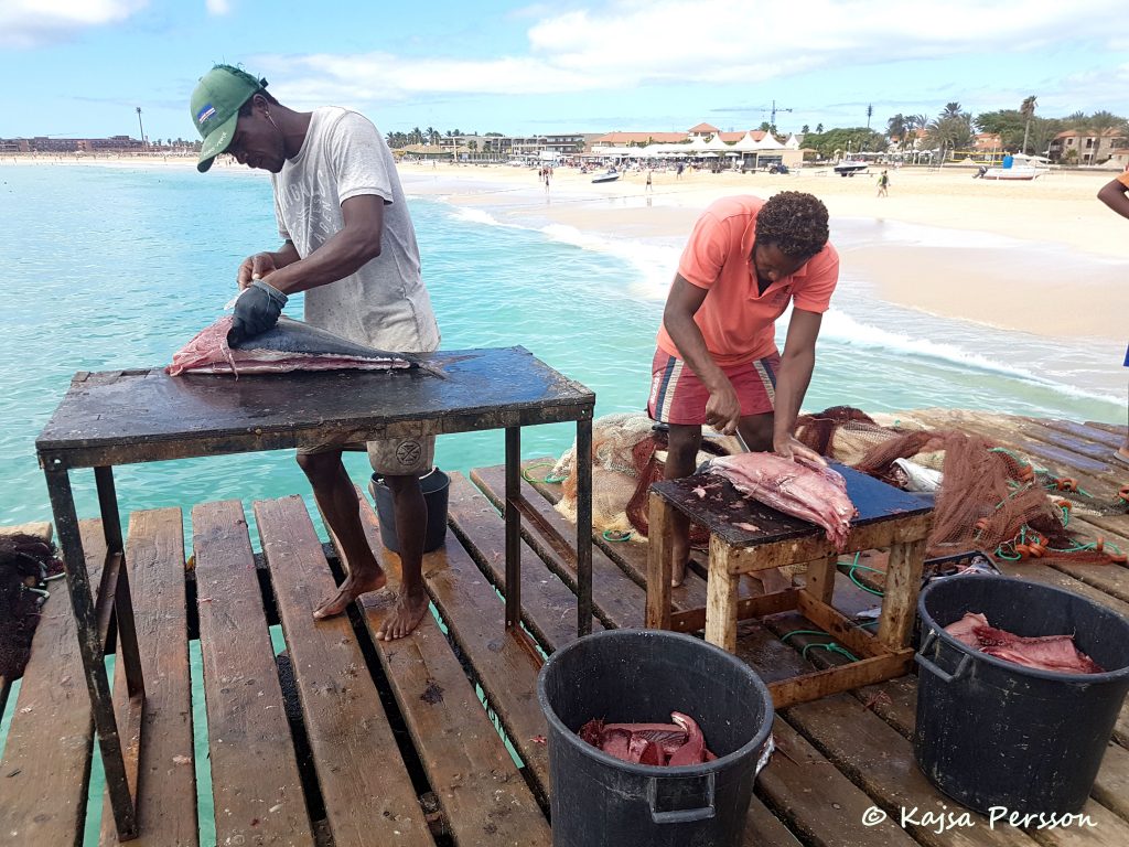 Konsttycket att file en tonfisk Santa maria, Kap Verde