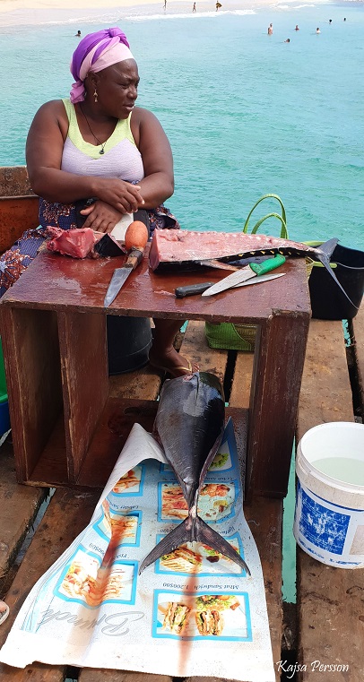 Tonfisk på bryggan Kap Verde