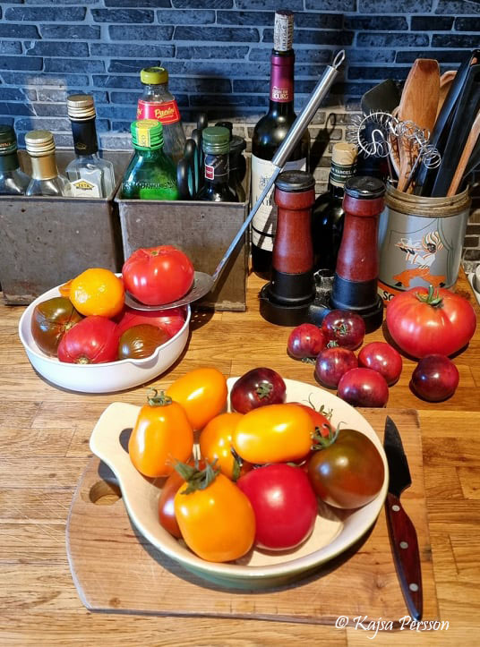 Tomater i alla former och färger