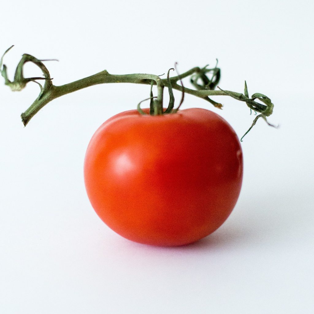 tomat med kvist