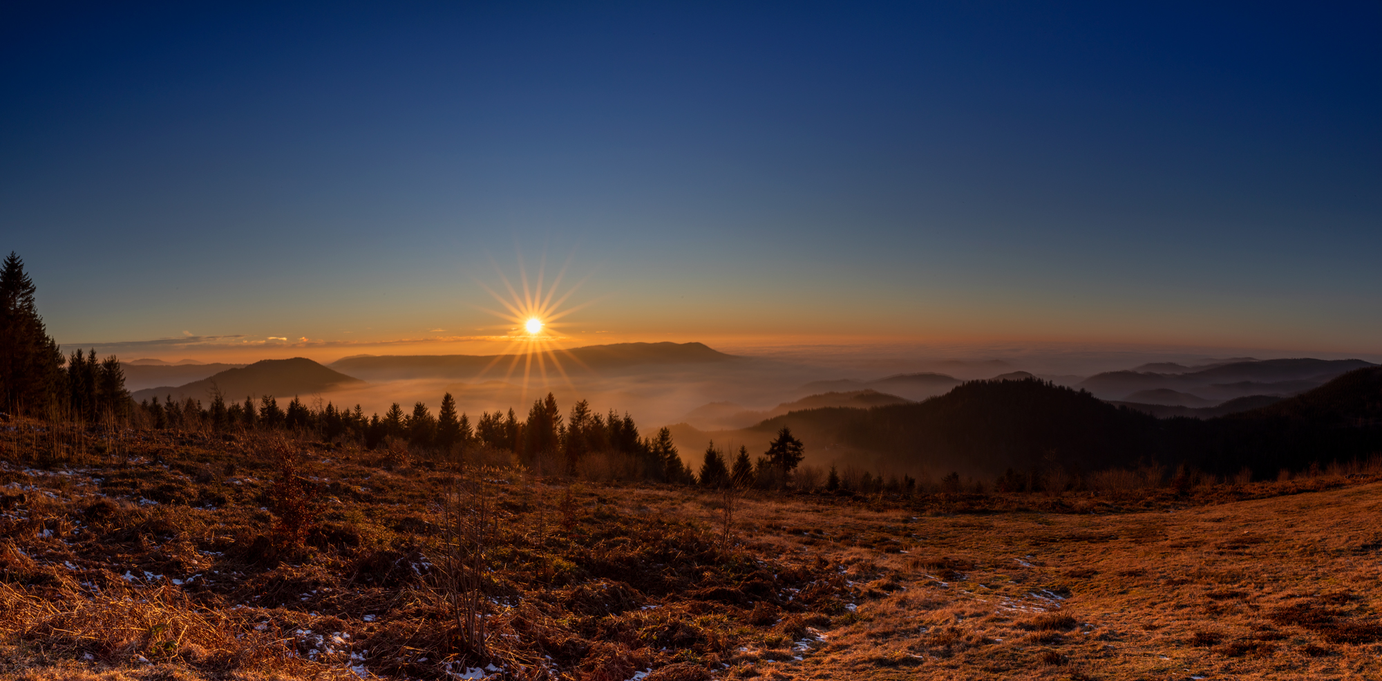 Sonnenaufgang im Schwarzwald | Zuflucht