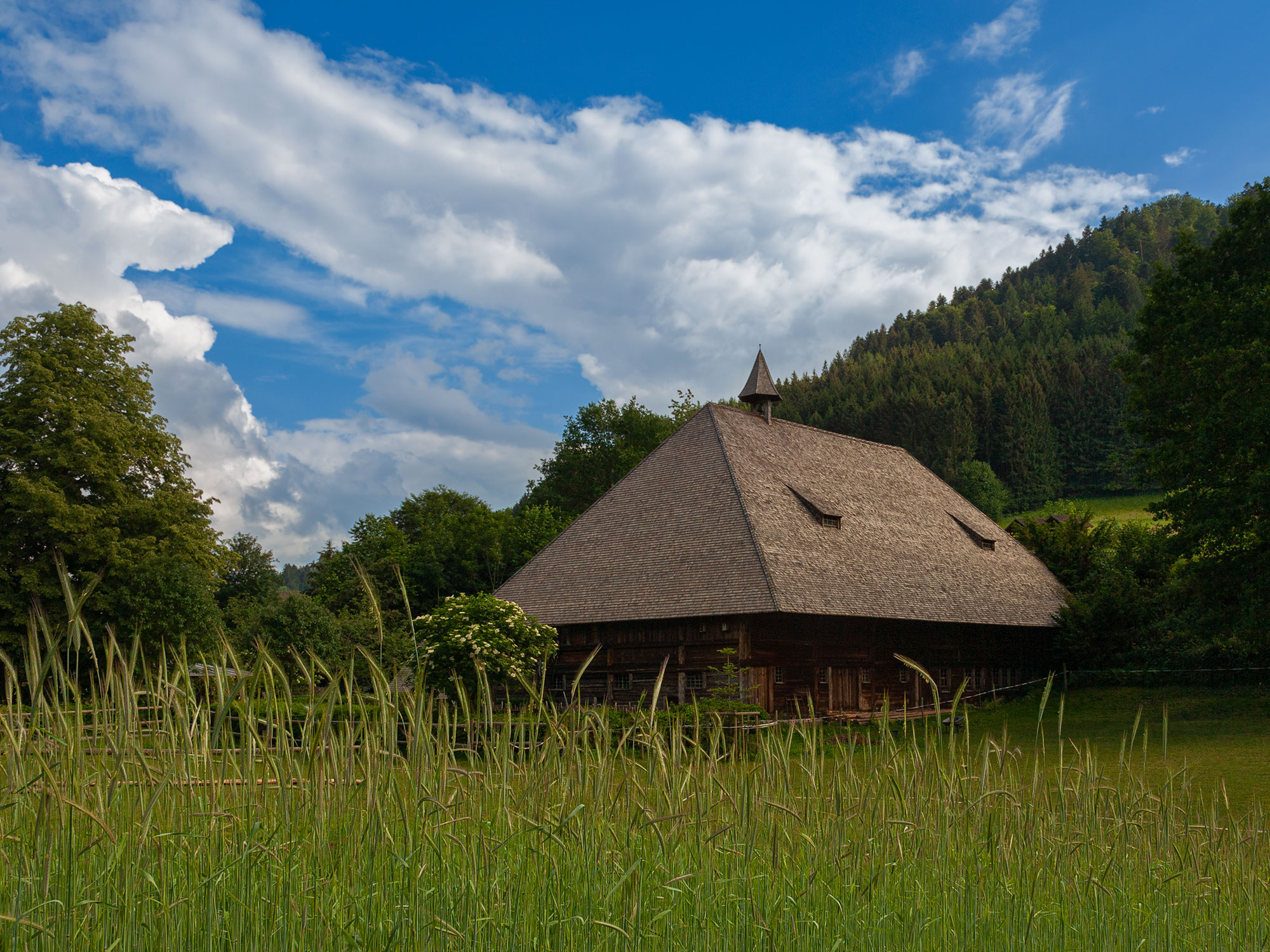 Altes Schwarzwaldhaus