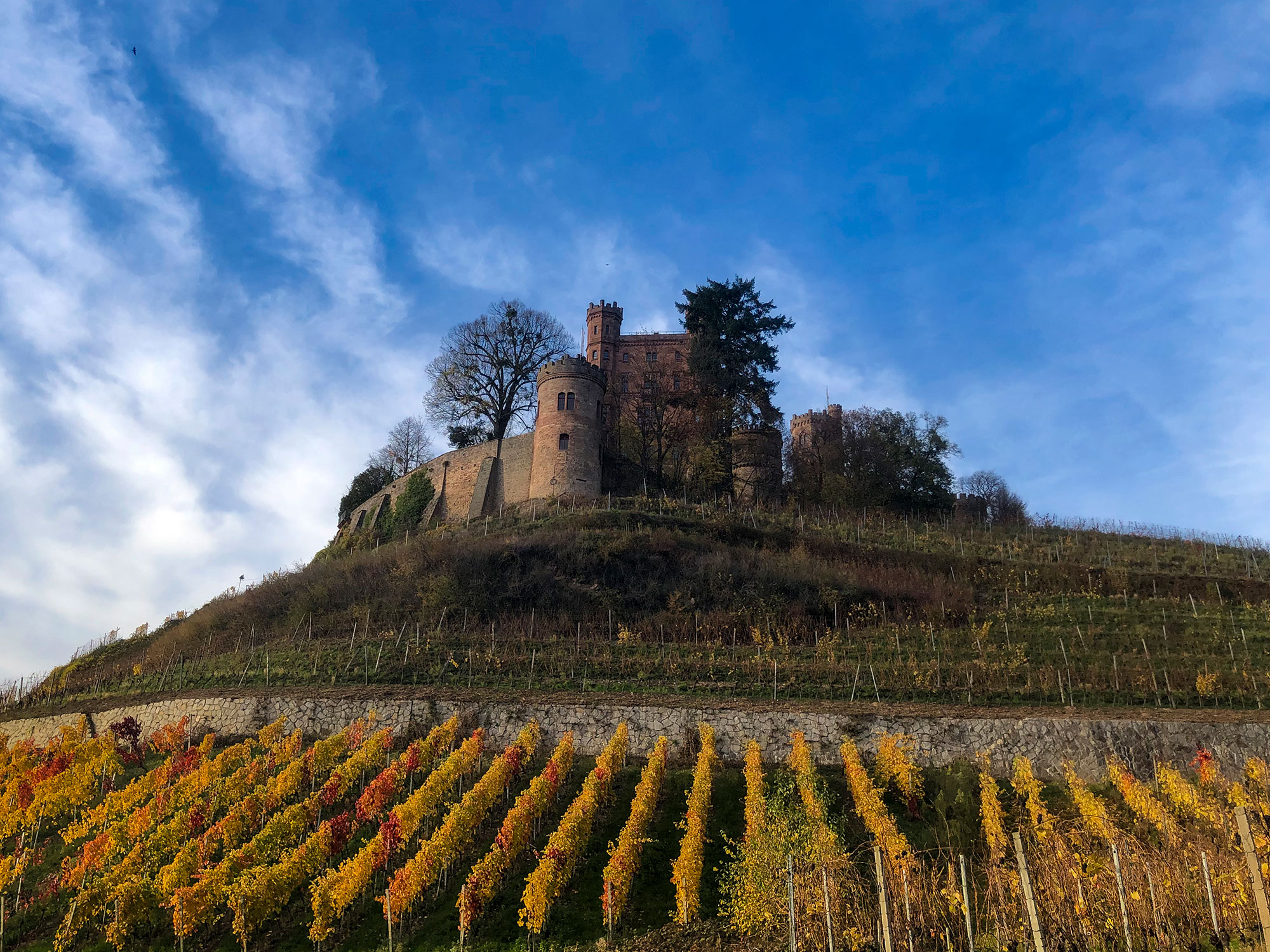 Schloss Ortenberg in Ortenau