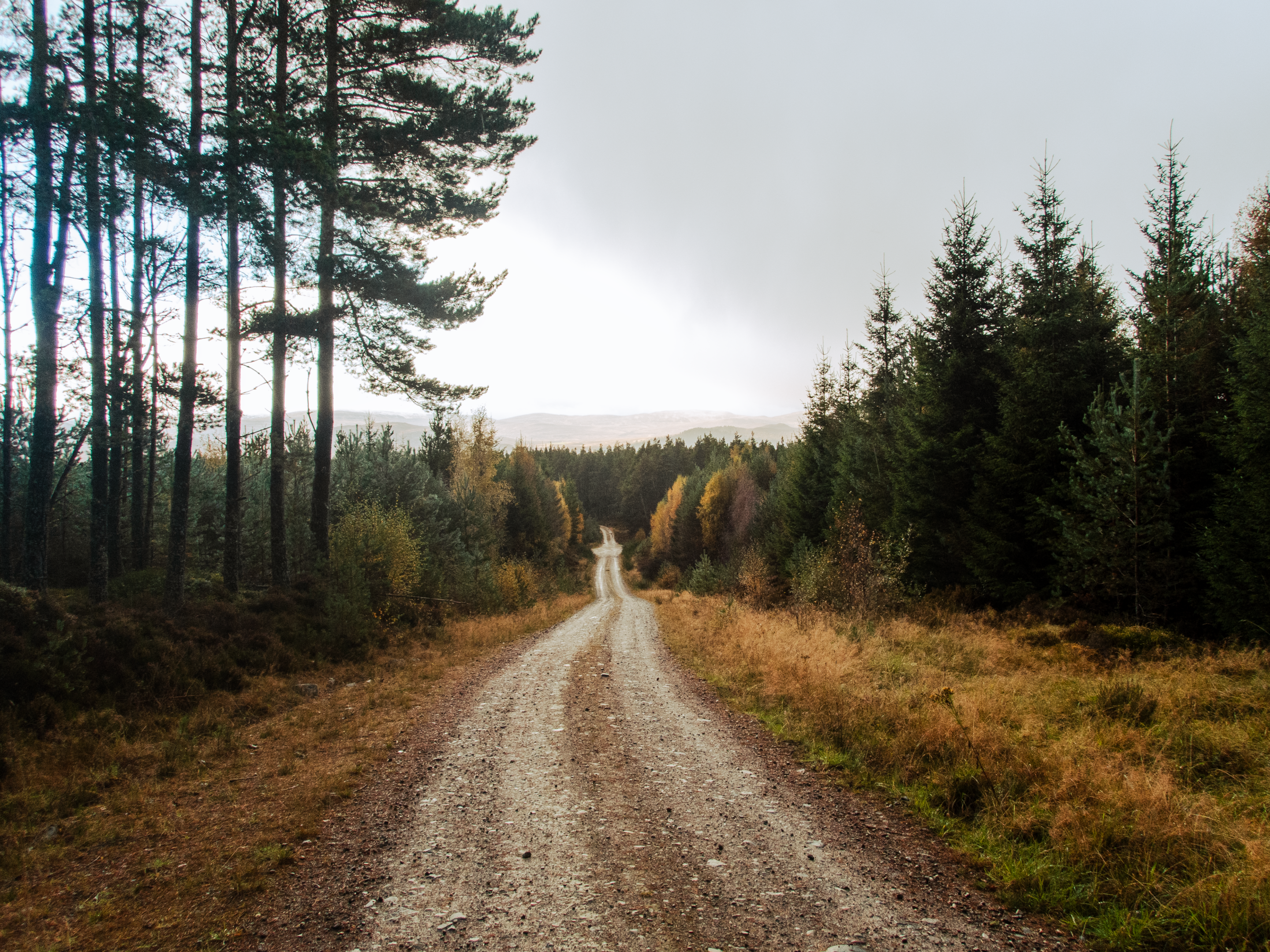 11-4 A9 Kingussie door het bos naar 2e slaapplek