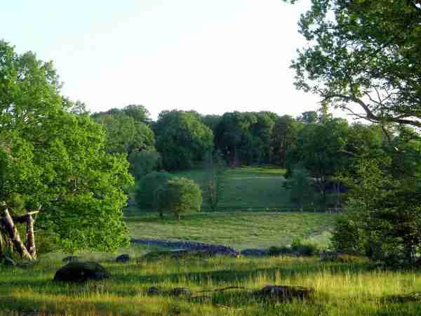 Skärva Naturreservat