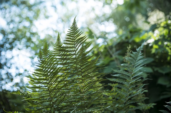Foto: Lise Ramsland Sparre