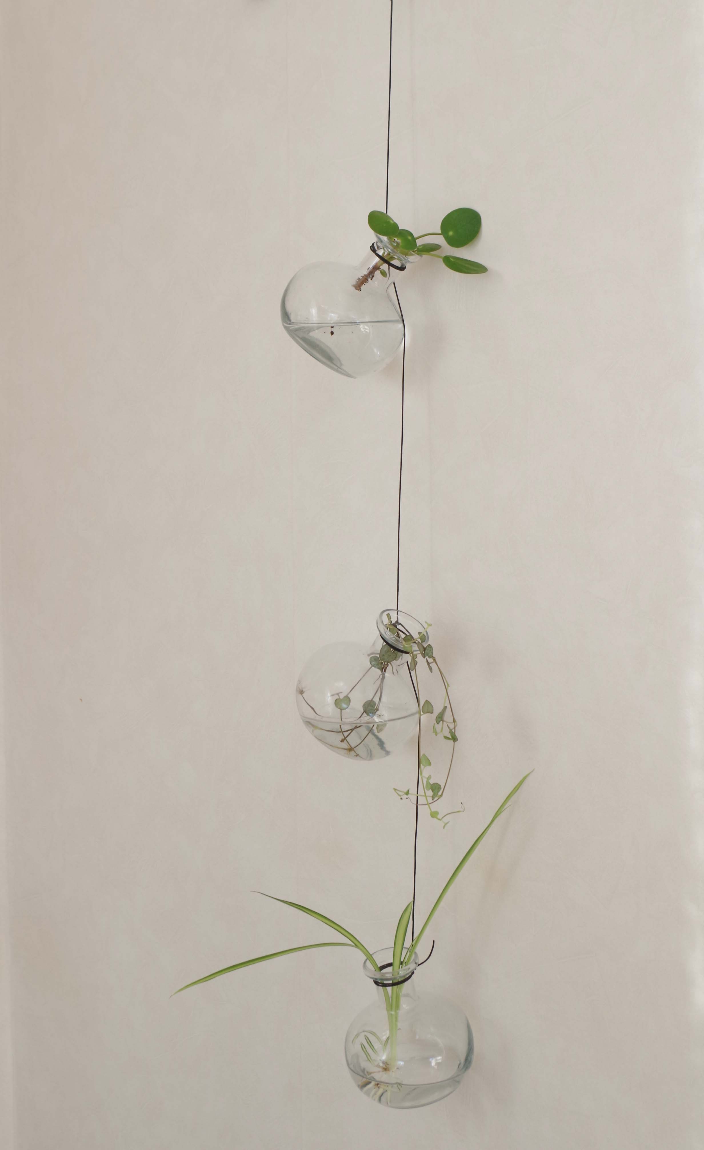 DIY - smarta sticklingvaser för upphängning - Blomfantast