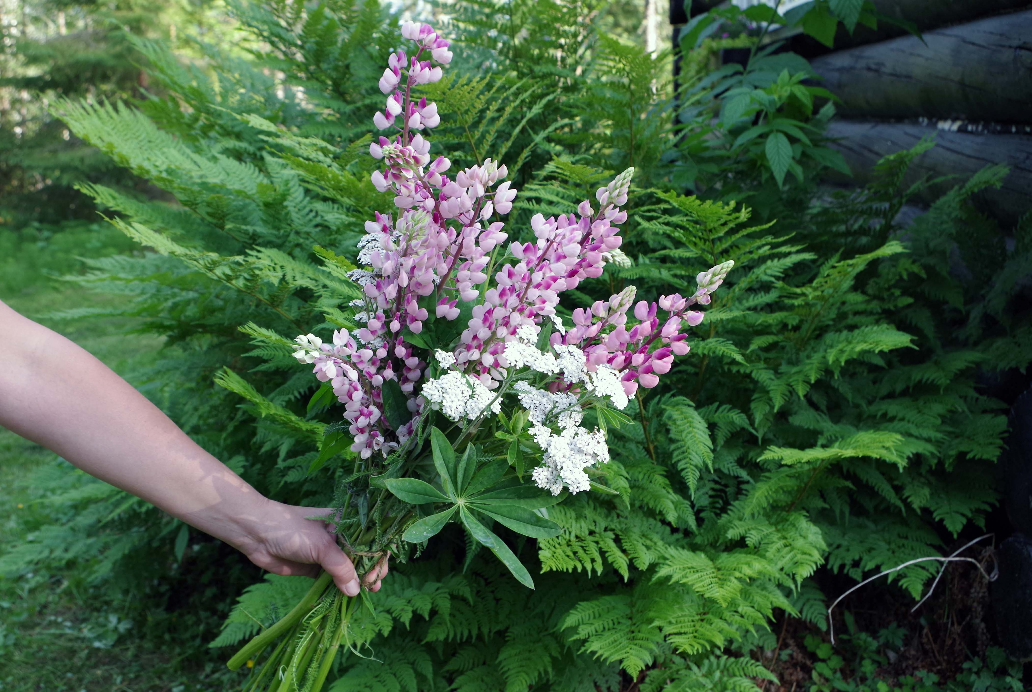 Sommarbukett
