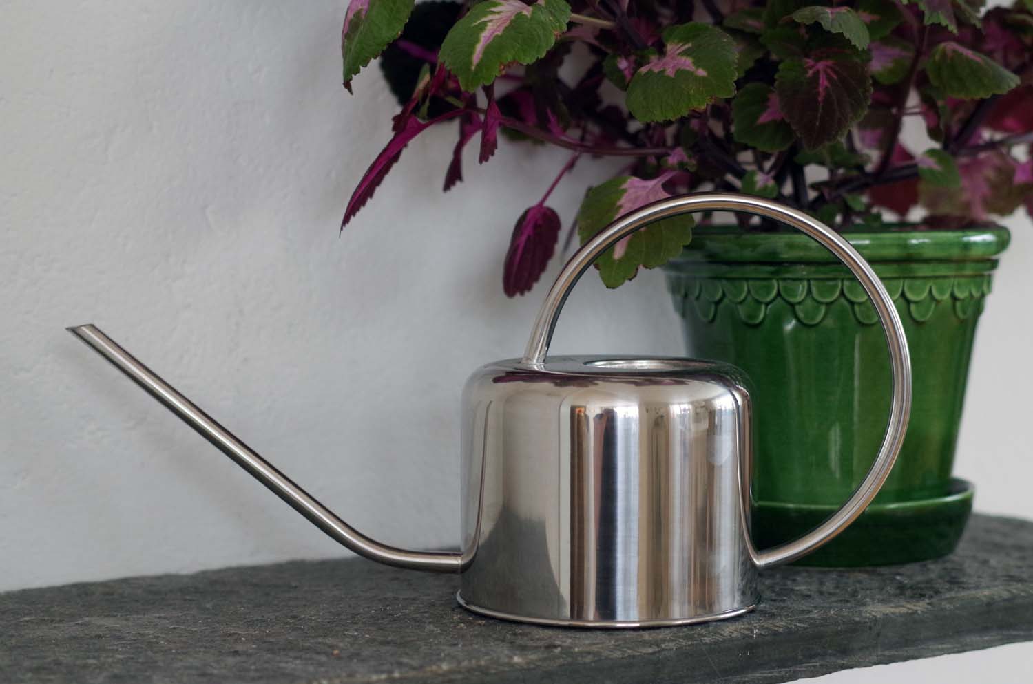 Hur ofta ska man egentligen vattna? Blomfantast