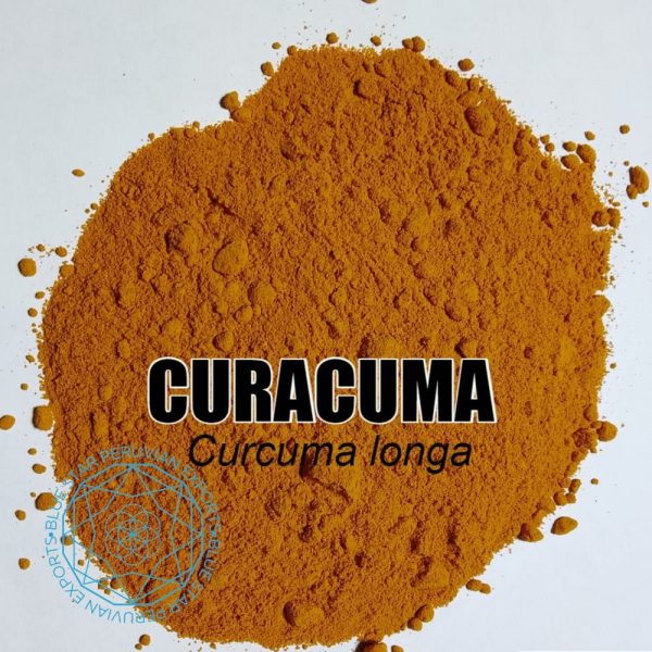 Curcuma (Turmeric)