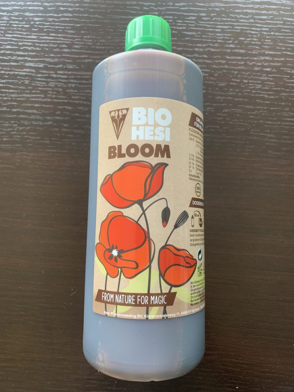 Hesi Bloom 1 scaled