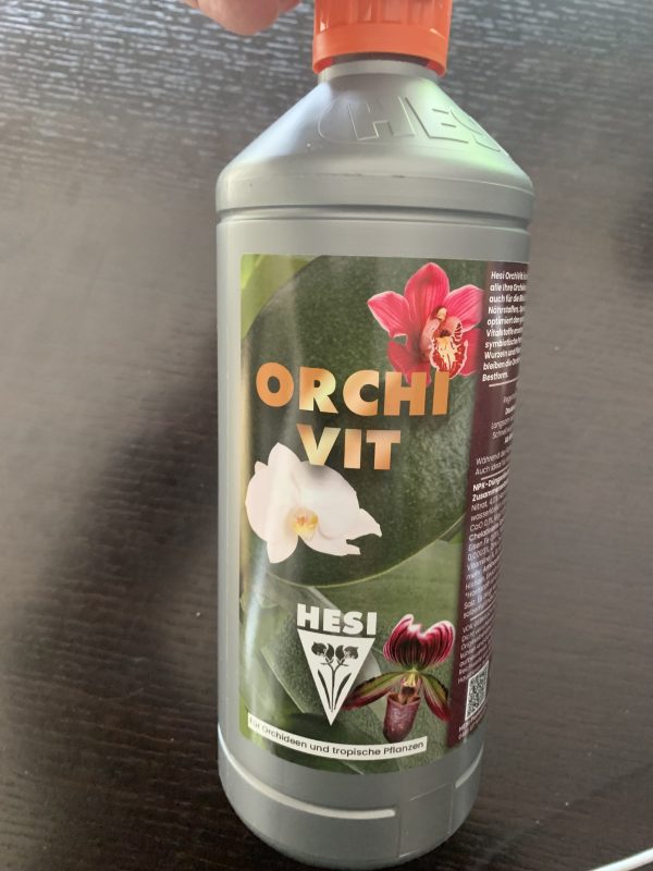 hesi orchivit | BLUMBASTIK
