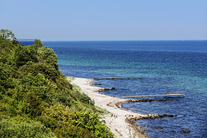 sommerferie på blushøjgård