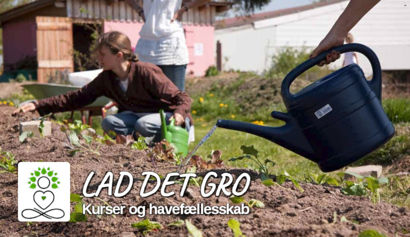 Dyrk din egen mad og gør kloden glad – 2 dages kursus 15 -16. April. begge dage 10:00 – 16:00