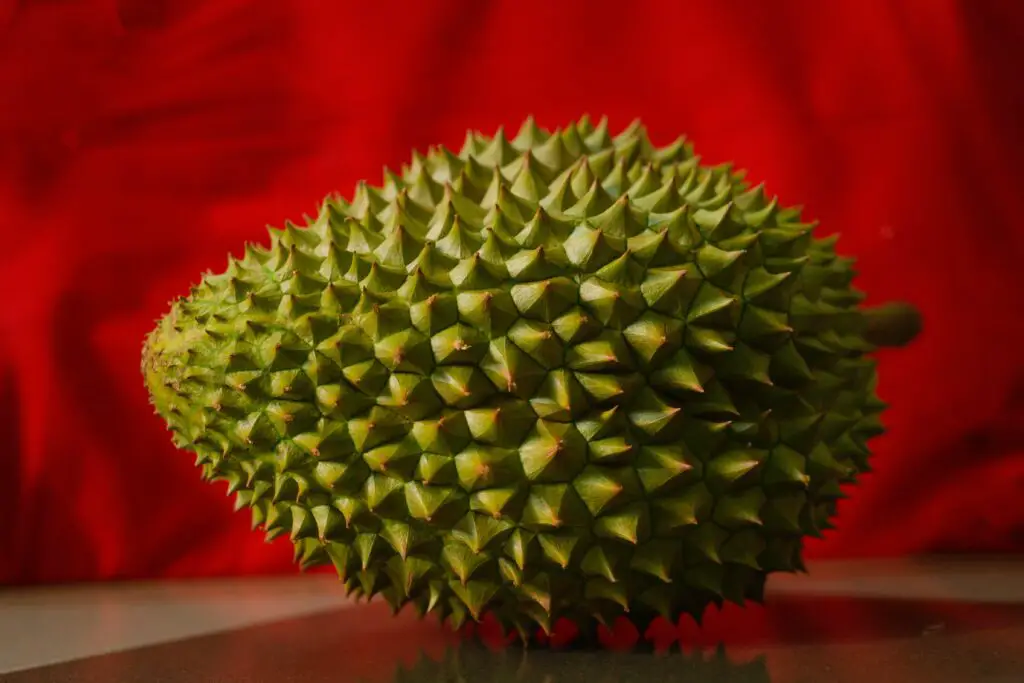 Durian fruit / durian frukt