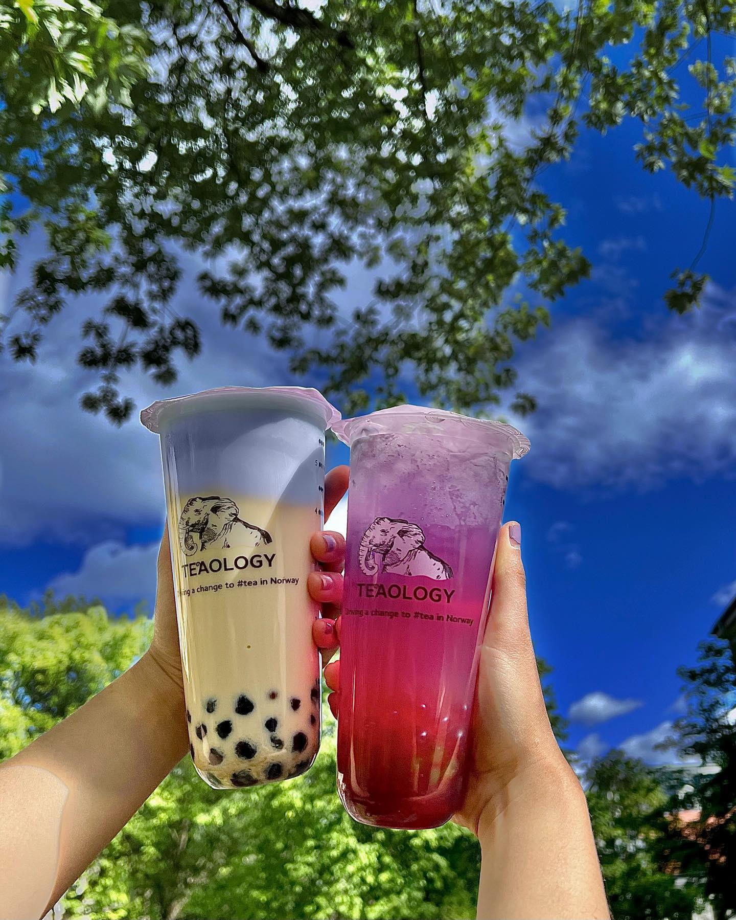 TeaOlogy – The Finest Bubble Tea in Oslo - Bobatea.se