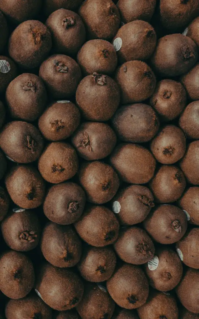 Kiwi Boba Tea - Bild av Alejandro Duarte från Unsplash