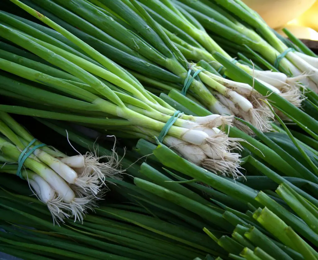 Kinesiska Scallion Pancake - Bild av Christopher Previte från Unsplash