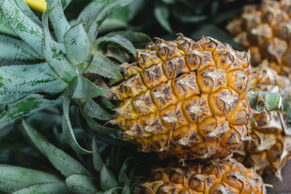 Tanghulu - Ananas - Bild av Daniele Franchi från Unsplash