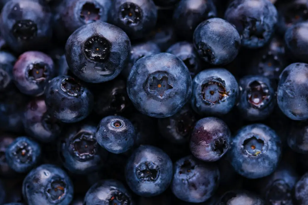 Tanghulu - Blåbär - Bild av Joanna Kosinska från Unsplash