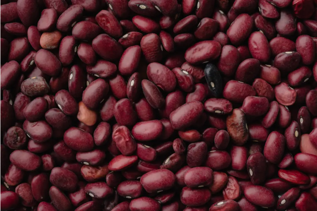Anko, Red bean, mochi - Bild av Marina Leonova från Pexels