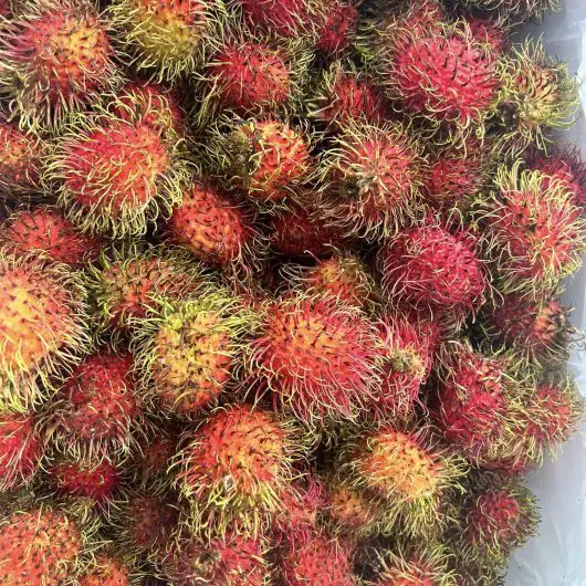 Årsta Thai Livs / Årsta Thaimarket - Bobatea.se