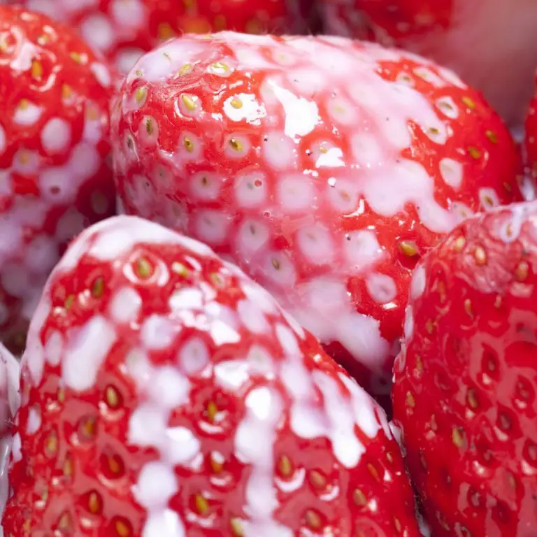 Jordgubbar i jordgubbsmjölk inför hwachae tillagningsprocess