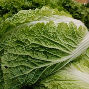 Bild på en hel kinakål, ljusgrön med tätt packade blad, krispig och vanligtvis använd som basingrediens i kimchi
