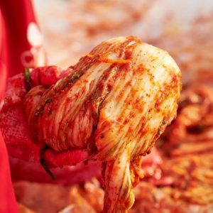 Bild på en person som håller i en kinakål täckt med kimchi kryddning för fermentering av kimchi.