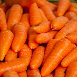 En hög av morotötter, orange och saftig, redo att skivas eller rivas till matlagning.
