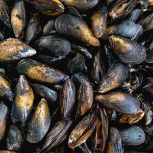 En hög med musslor, mörka och glänsande med en frisk havsdoft, perfekta för att ångkoka eller använda i soppor. En hög med musslor, mörka och glänsande med en frisk havsdoft, perfekta för att ångkoka eller använda i soppor.