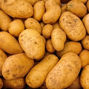 En hög med färska potatisar, i sin jordiga yta och bruna skinn, för kokning eller stekning.