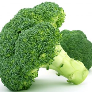 Ett huvud av färsk broccoli, grön och krispig med små buketter, full av näringsämnen.