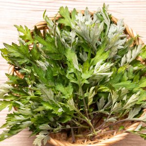 En bild på en bunt färsk grågrön malört(mugwort), känd för sin aromatiska doft och traditionella användning i mat och medicin.