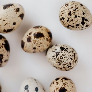 En samling små och eleganta vaktelägg med sina karakteristiska fläckiga skal, perfekta för matlagning och garnering.