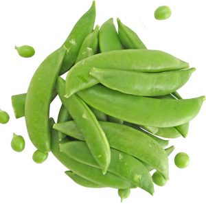 En hög med färska sugar snaps, krispiga och söta ärtskidor som ofta används i sallader, wokrätter och som hälsosamt snacks.