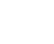 logo-wit-FOX