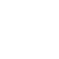 logo-wit-Selexion