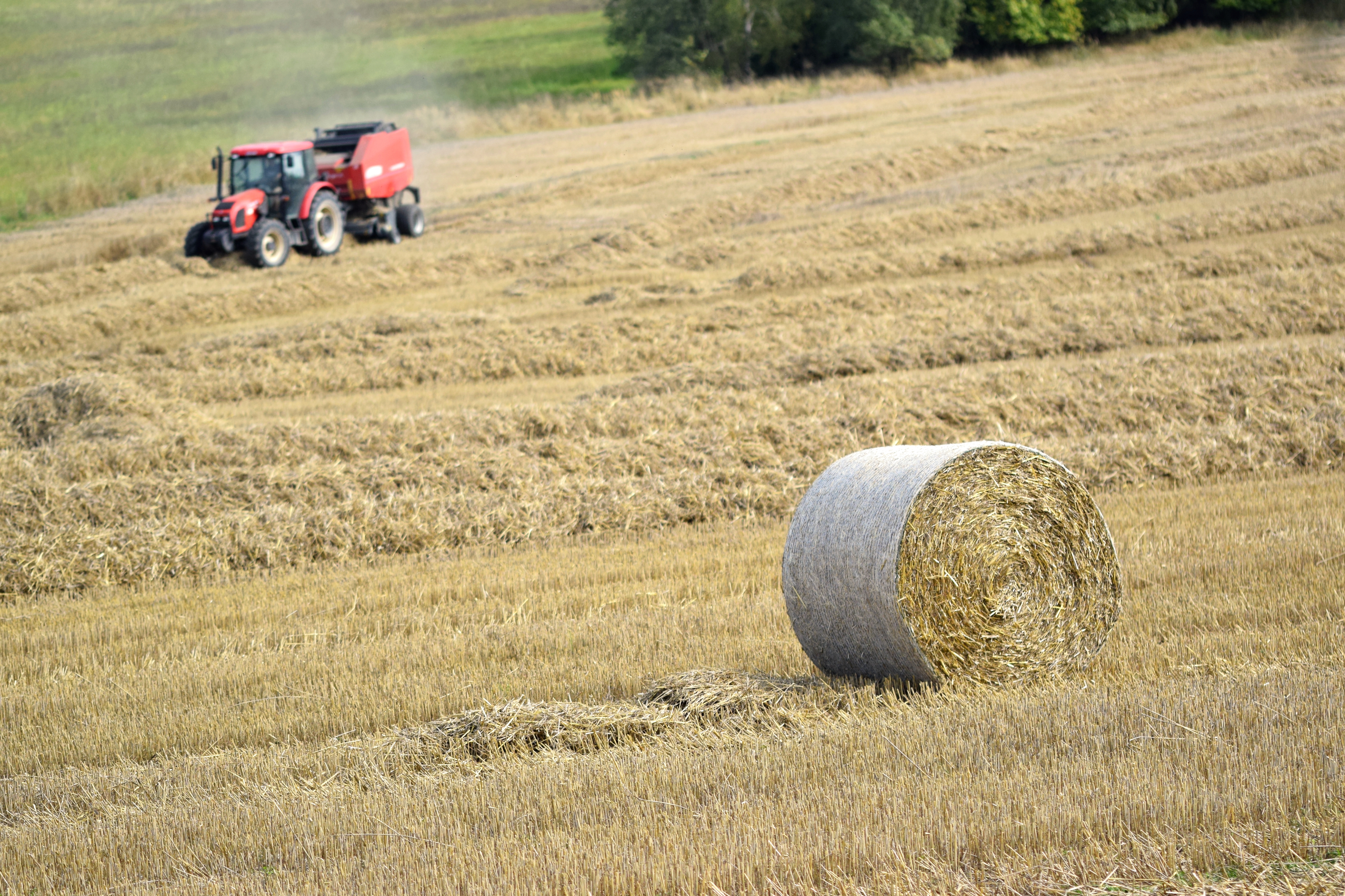 Traktor