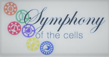 Symphonny of the cells