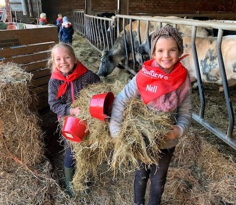 boerderij dieren voederen