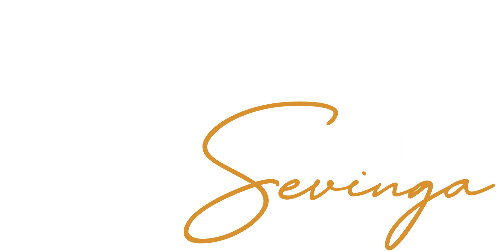 Boerderij Sevinga