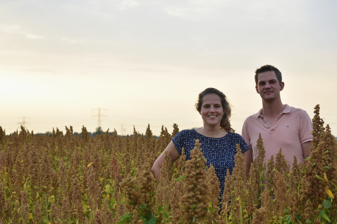 Quinoa uit Nederland - Toon en Janna telen Nederlandse quinoa