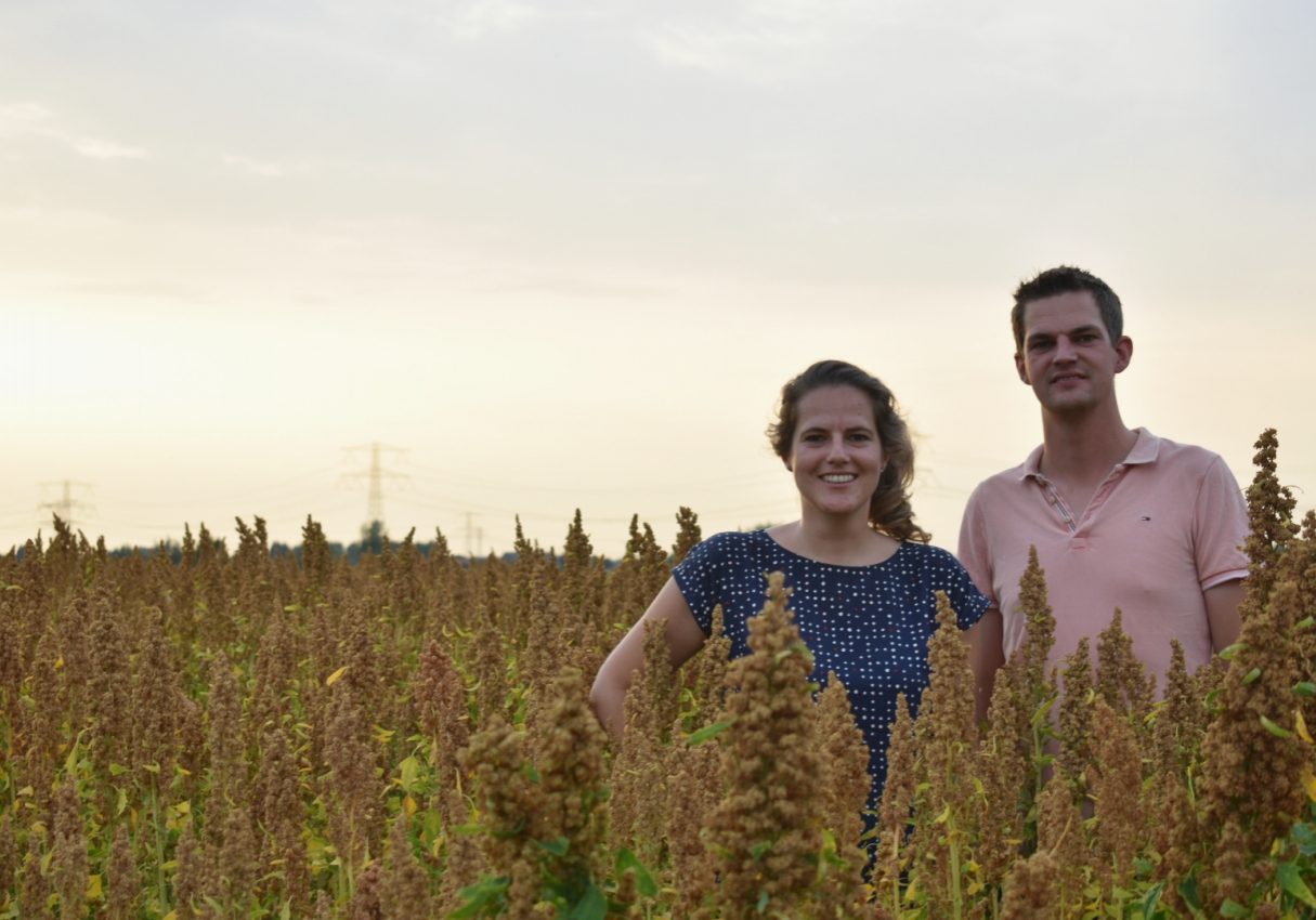 Quinoa uit Nederland - Toon en Janna telen Nederlandse quinoa