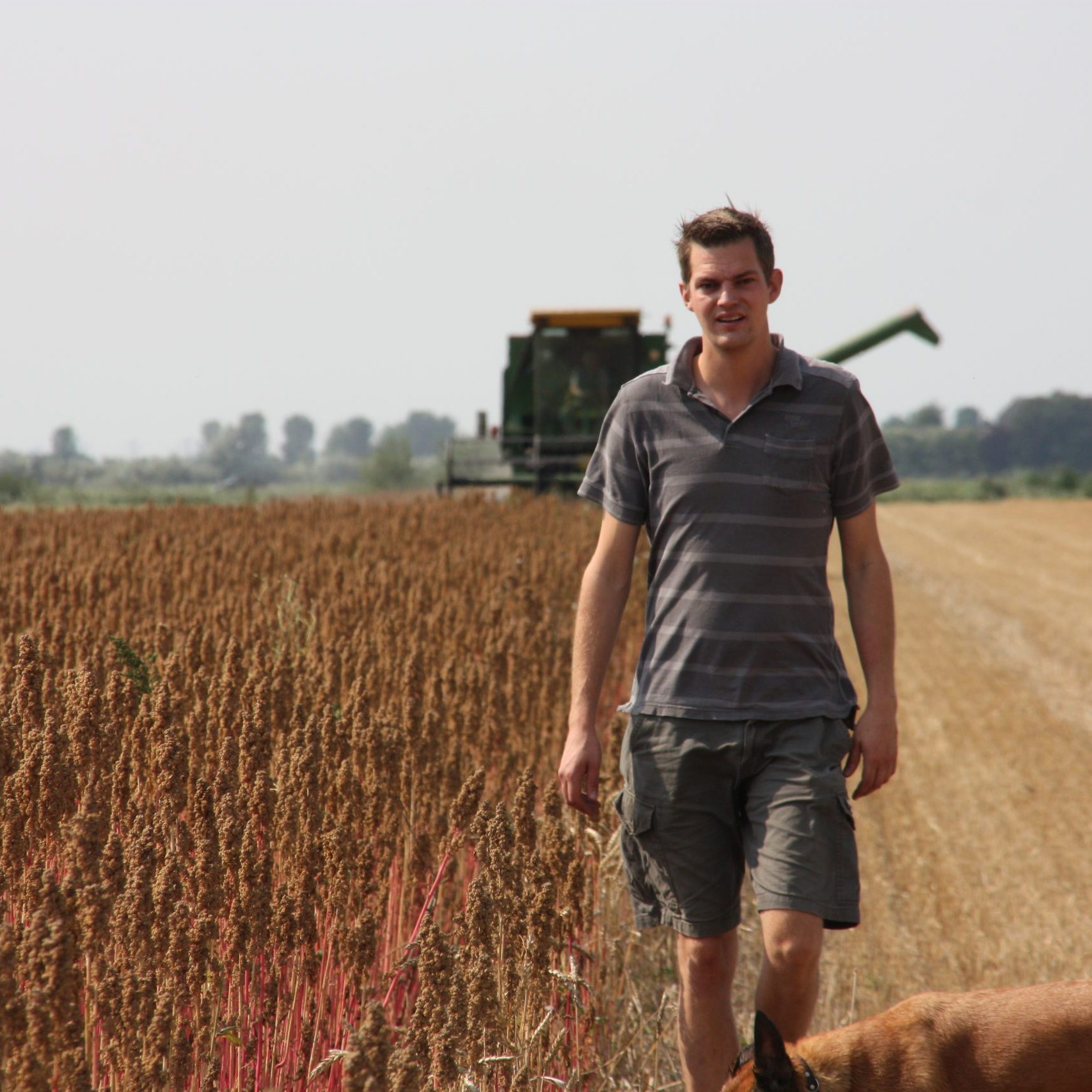 Toon - Nederlandse quinoa teler