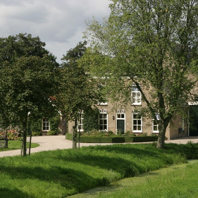 Boerderij waar de Nederlandse quinoa groeit