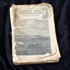 Randers Amt's Husholdningsselskab, Jubilæumsskrift 1810 - 1910