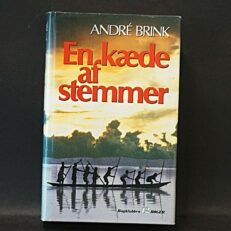 André Brink, En kæde af stemmer