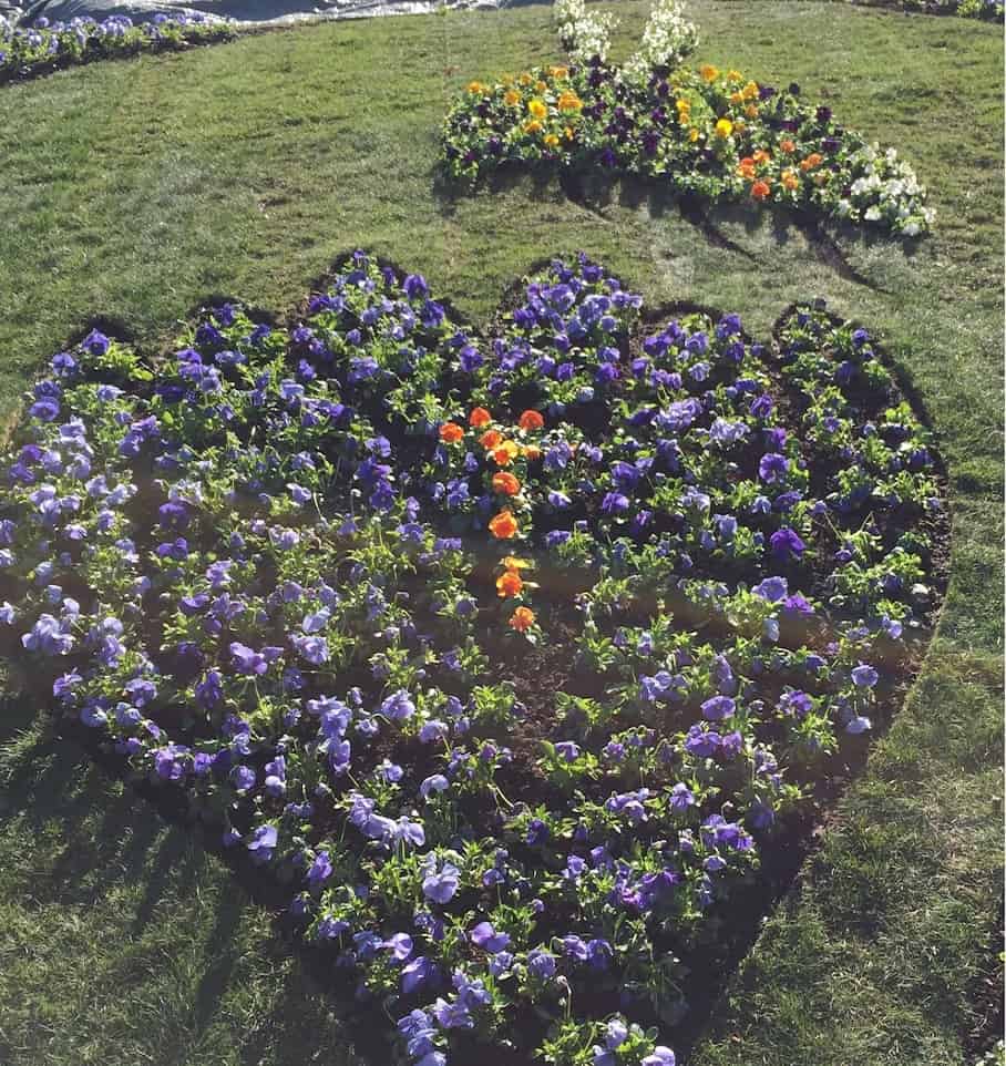 Vårblommor i Botaniska Trädgården