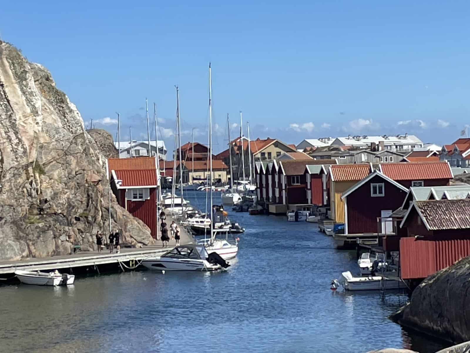 Havtorn